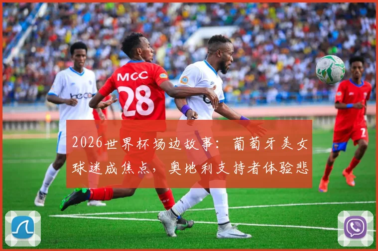 2026世界杯场边故事：葡萄牙美女球迷成焦点，奥地利支持者体验悲喜两重天